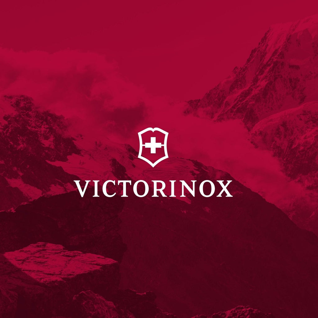 Victorinox Altmont Original Laptop Backpack - Professional Travel Backpack for 15.6" Laptop - Lightweight Laptop Bag for Travel Accessories - 22 Liters, Black