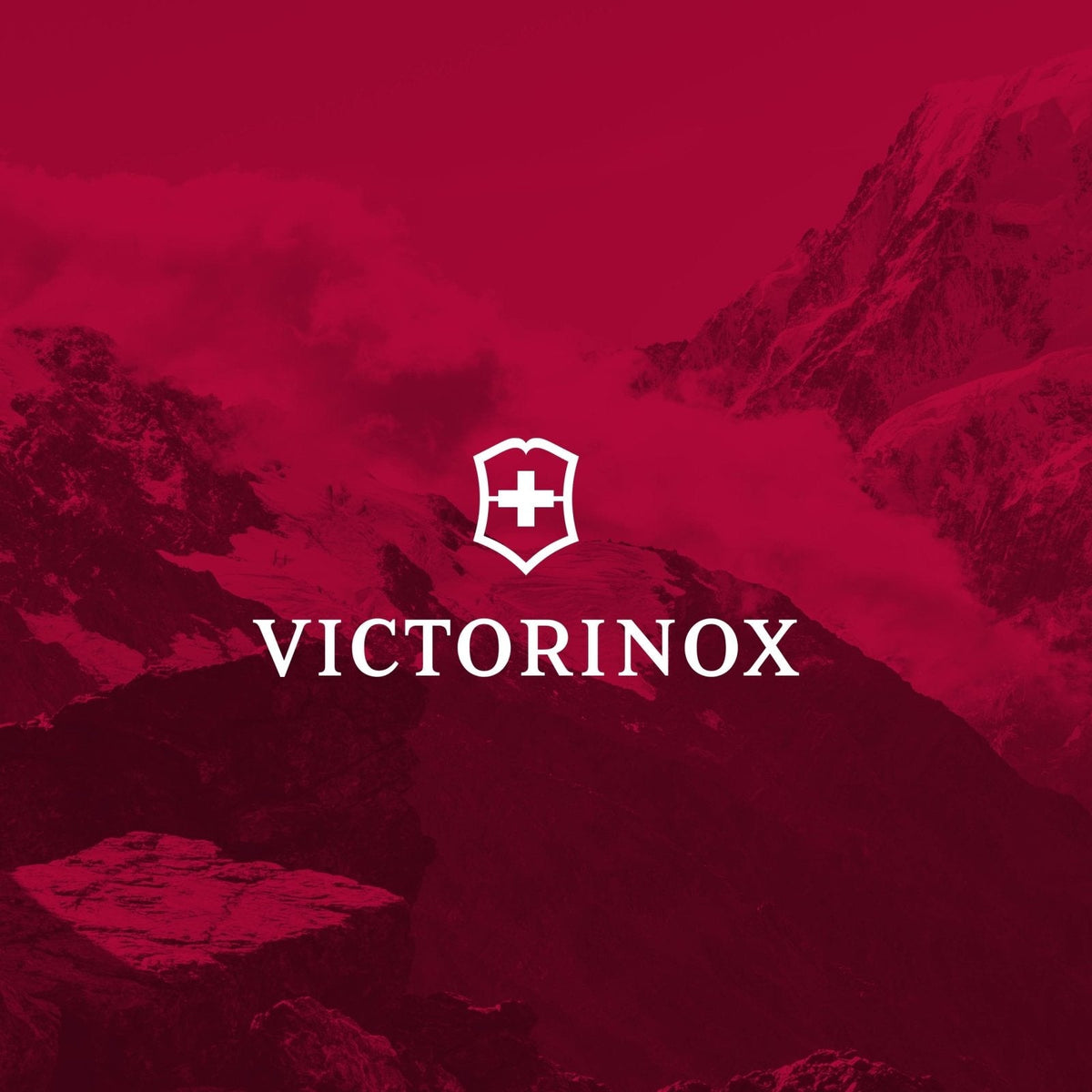Victorinox Altmont Original Laptop Backpack - Professional Travel Backpack for 15.6" Laptop - Lightweight Laptop Bag for Travel Accessories - 22 Liters, Black